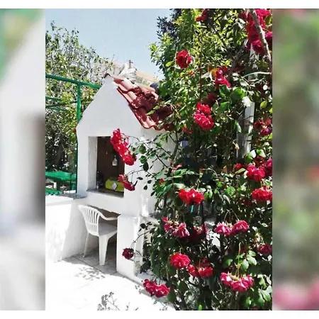 Ap Daisy M - 9 Personen Palit